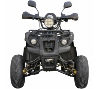 Квадроцикл SPARK SP125-5