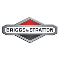 Briggs & Stratton