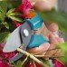 Секатор Gardena Classic для цветов 18mm Секатор Gardena Classic для цветов 18mm