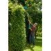 Электрический кусторез Gardena THS 550/48 Электрический кусторез Gardena THS 550/48